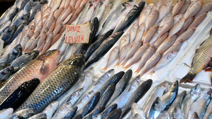 Mersin'de av yasağıyla günlük balık çeşidi 15'e düştü lakin fiyatlar artmadı
