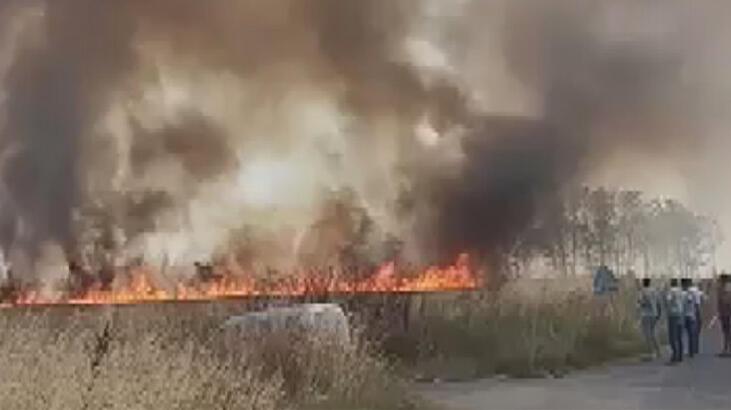 Çatalca'da tarlada yangın! Takımlar müdahale ediyor