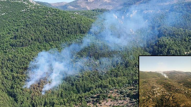 Milas'ta orman yangını! Gruplar müdahale ediyor