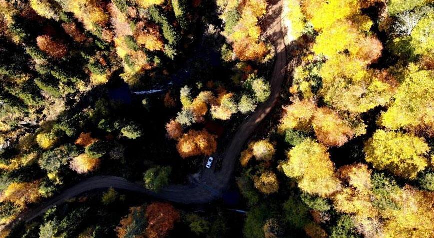 Türkiye'nin en büyük blok ormanlarına giriş-çıkışlar 3 ay yasaklandı