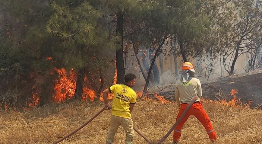 Adana ve Mersin'de yangın! Ekjipler müdahaleye başladı