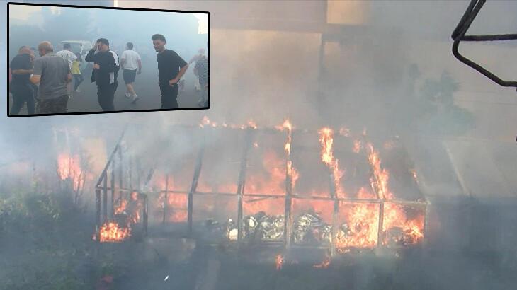 Beyoğlu'nda çiçek serası yandı! Ağır duman sokağı kapladı