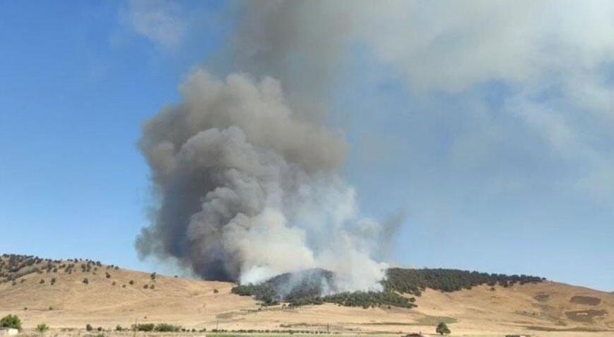 Gaziantep'te korkutan orman yangını! Müdahale devam ediyor