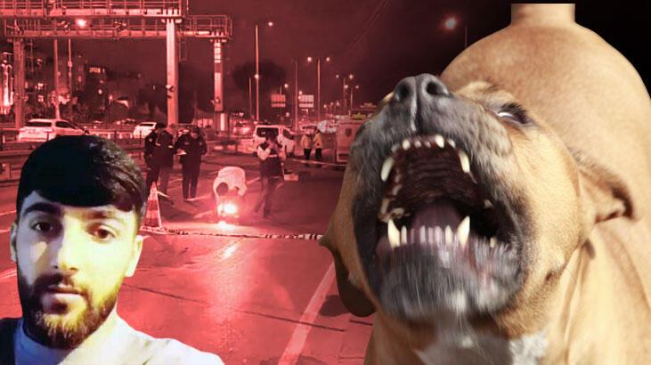 Pitbull akınında 1 kişinin vefatına neden olmuştu! O polis hakkında birinci duruşmada karar